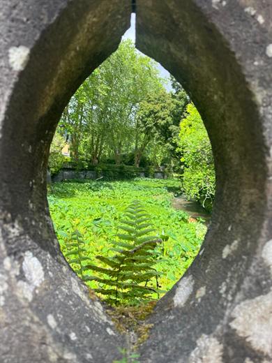 Terra Nostra Park botanical garden, São Miguel, Azores