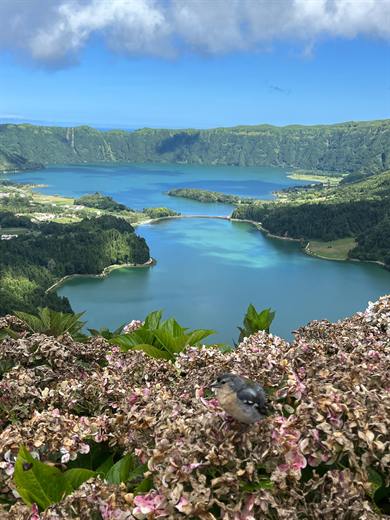 Vista do Rei viewpoint, São Miguel, Azores